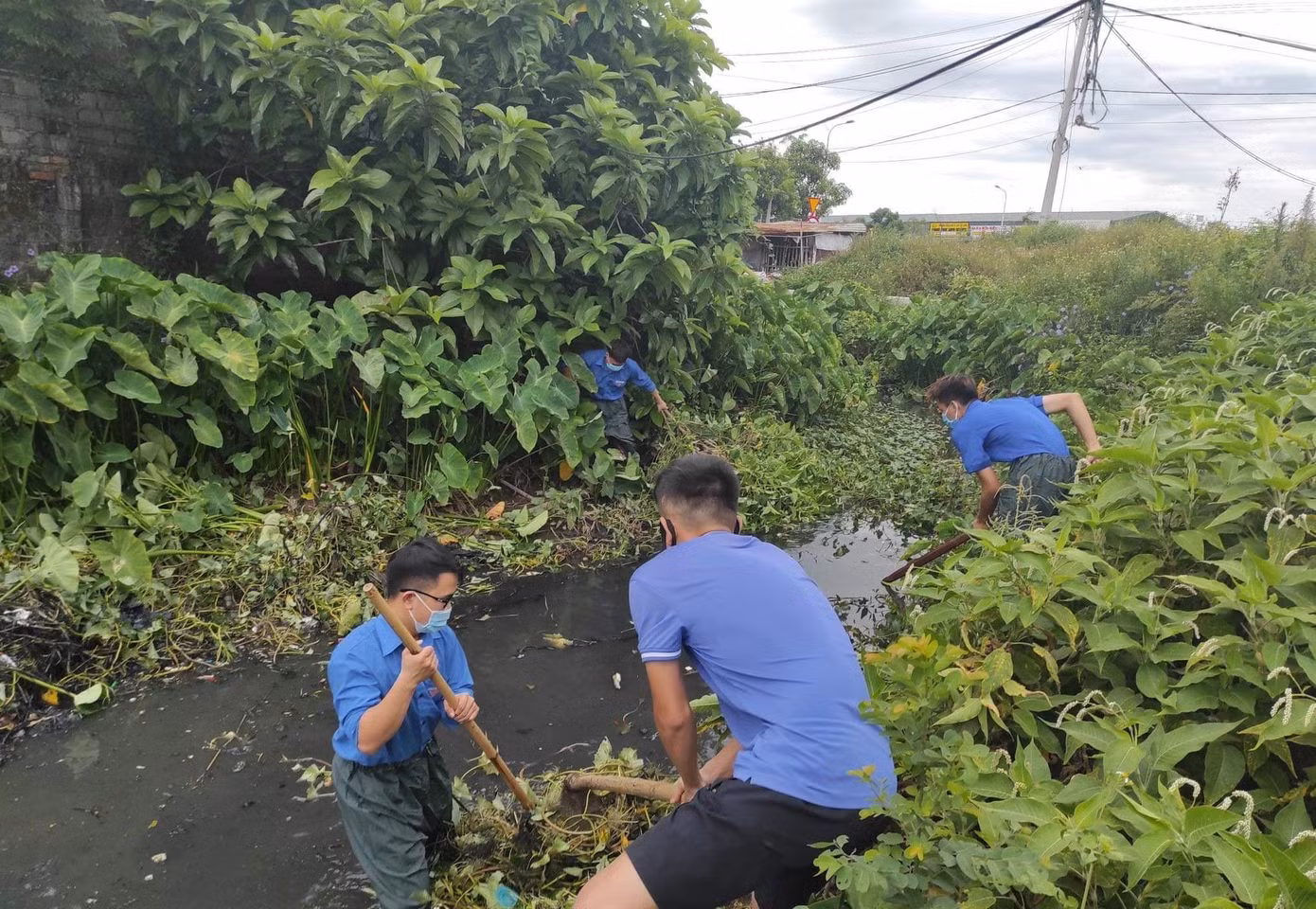Dịp này, Thành đoàn Vinh ra quân khơi thông mương, cống thoát nước tại 50 điểm nội thành. Đây là những điểm thường xảy ra ngập úng, gây ô nhiễm môi trường. Hoạt động thể hiện tinh thần xung kích, tình nguyện của tuổi trẻ, góp phần tạo mỹ quan, môi trường xanh, sạch, đẹp, nâng cao ý thức để người dân thực hiện tốt nếp sống văn minh đô thị.