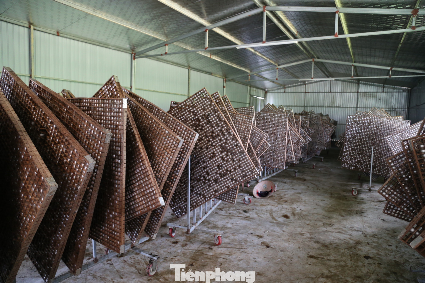 Việc nuôi tằm lấy kén với mô hình trang trại đã xuất hiện ở xã Khánh Sơn khoảng vài ba năm trở lại đây, đang hứa hẹn mở ra triển vọng mới trong việc khai thác tiềm năng đất đai, lao động, tạo thêm những sản phẩm mới (kén, tơ), góp phần nâng cao thu nhập cho người dân.