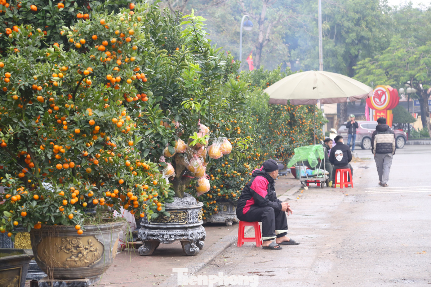 Ghi nhận sáng 1/2 (tức ngày 22 tháng Chạp), tại các điểm bán hoa, cây cảnh Tết ở Nghệ An, khung cảnh mua bán không mấy sôi động, lượng khách vào xem hoa Tết chỉ lác đác trên đầu ngón tay.