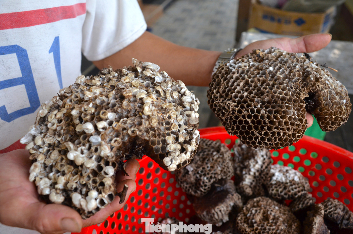 Sáp ong vàng là một loại dược liệu được dùng trong điều trị nhiều bệnh lý khác nhau và được ứng dụng trong các mỹ phẩm làm đẹp Sáp ong vàng là một loại dược liệu được dùng trong điều trị nhiều bệnh lý khác nhau và được ứng dụng trong các mỹ phẩm làm đẹp