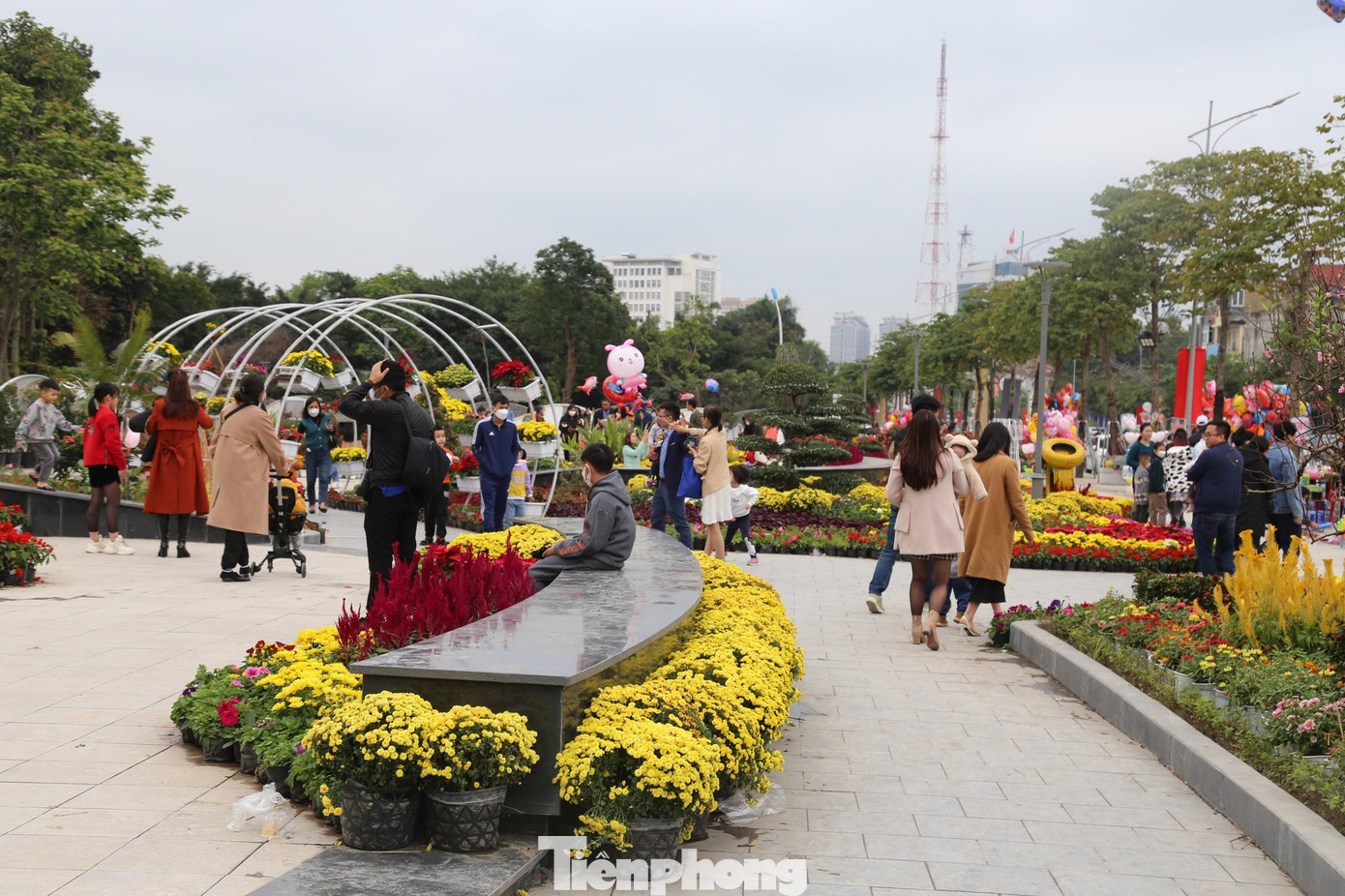 Đường hoa nghệ thuật là điểm nhấn trang trí trên địa bàn TP Vinh trong năm nay, khuôn viên rộng rãi được trang trí với nhiều loại hoa, tiểu cảnh đa dạng vừa phục vụ nhu cầu đón Tết, vui xuân.