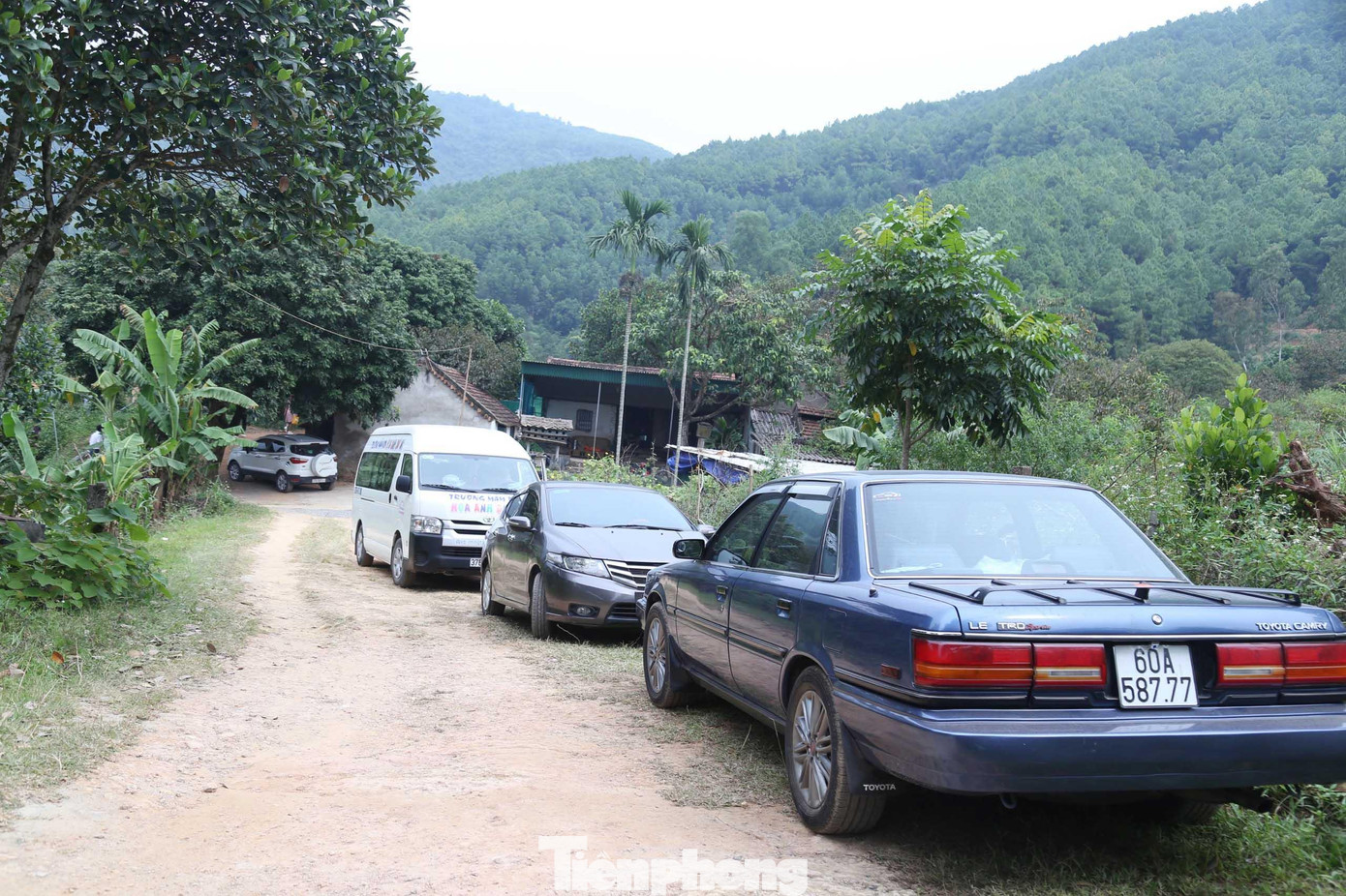 Hiện, ở đây có nhiều vườn hồng được chọn là điểm du lịch sinh thái. Vé vào chụp ảnh, tham quan 30.000 đồng/lượt.