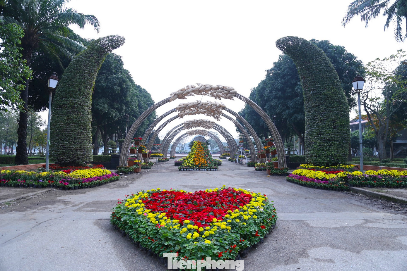Tại trung tâm công viên Nguyễn Tất Thành, một cung đường được thực hiện theo hình mái vòm, tâm điểm là những bông lúa chín trĩu hạt, mang theo sự kỳ vọng về sự no đủ, sung túc, thịnh vượng trong năm mới Quý Mão 2023. Đây là điểm mới trong không gian hoa Xuân của TP Vinh so với nhiều năm qua.