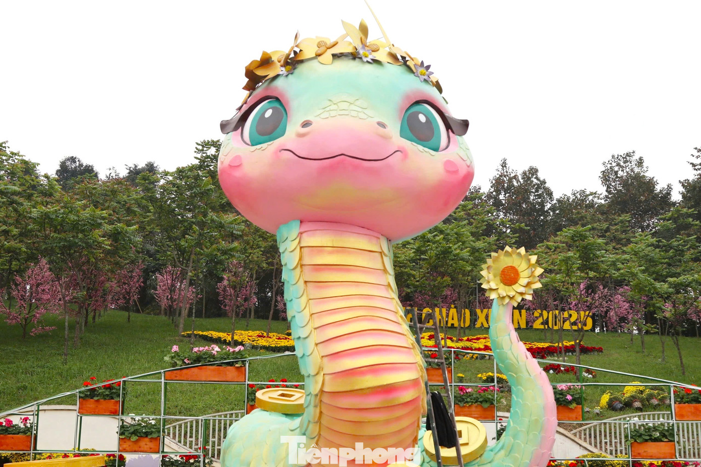 Ông Phan Thái Tổng (nghệ nhân làm linh vật rắn) cho biết linh vật rắn năm nay có chiều cao 4,4 m, chiều rộng khoảng 4m với 2 màu chủ đạo là xanh ngọc và hồng. Để làm được biểu tượng này, các nghệ nhân phải mất 10 ngày từ lên ý tưởng, tạo hình, sơn…