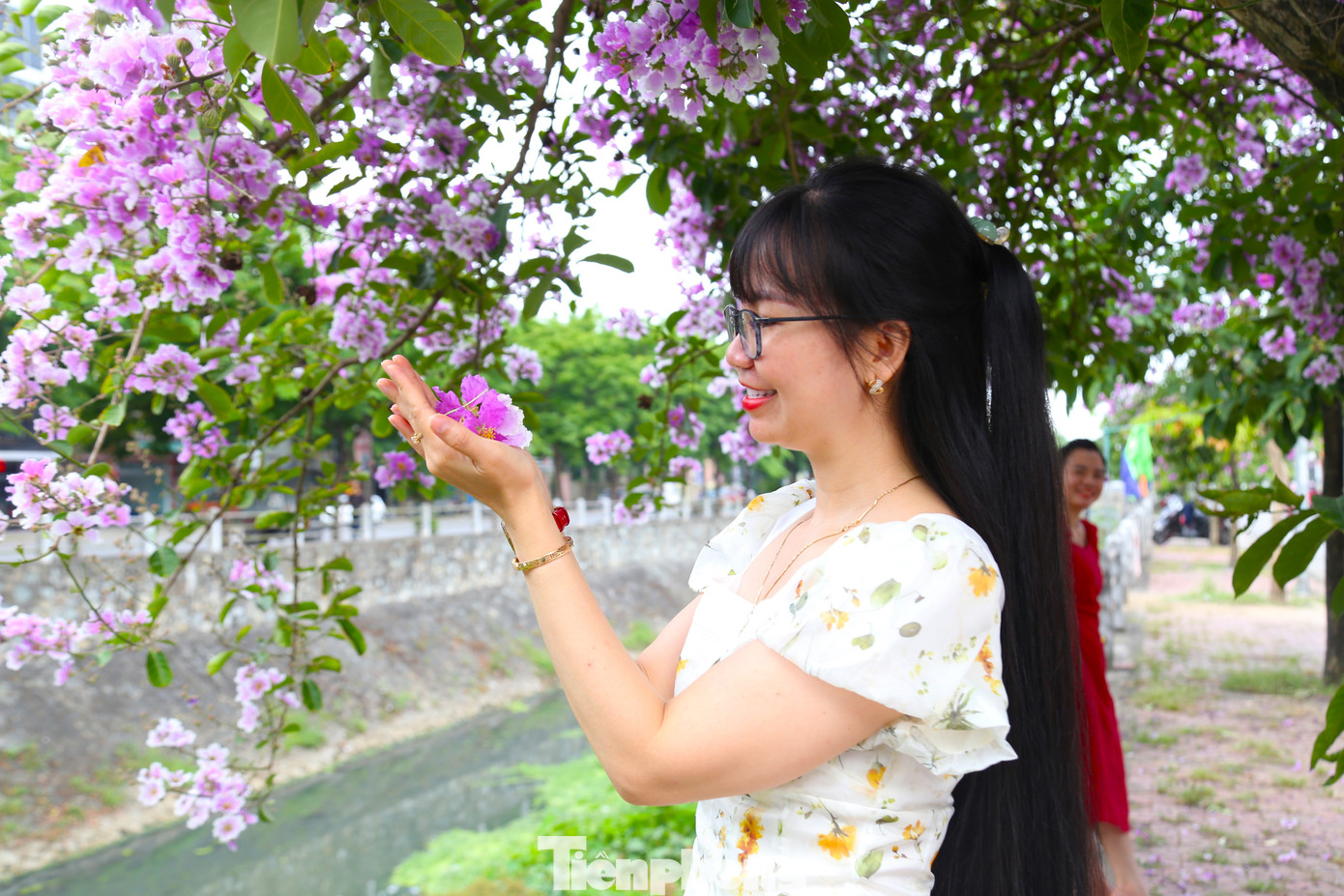 Con đường hoa bằng lăng trở thành địa điểm thu hút các bạn trẻ đến tạo dáng, chụp ảnh.