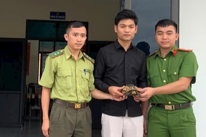 Cơ quan chức năng tiếp nhận cá thể rùa hộp trán vàng quý hiếm