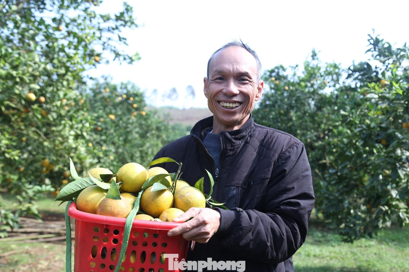 Dự báo, giá cam thời gian tới chắc chắn sẽ tiếp tục tăng do thời tiết thất thường khiến cam mất mùa, năng suất giảm trong khi nhu cầu tiêu thụ tăng cao. Hiện, nhiều trại cam, nhất là các trại có cam chín vào dịp cận Tết đã không nhận tiền đặt cọc trước của khách hàng.