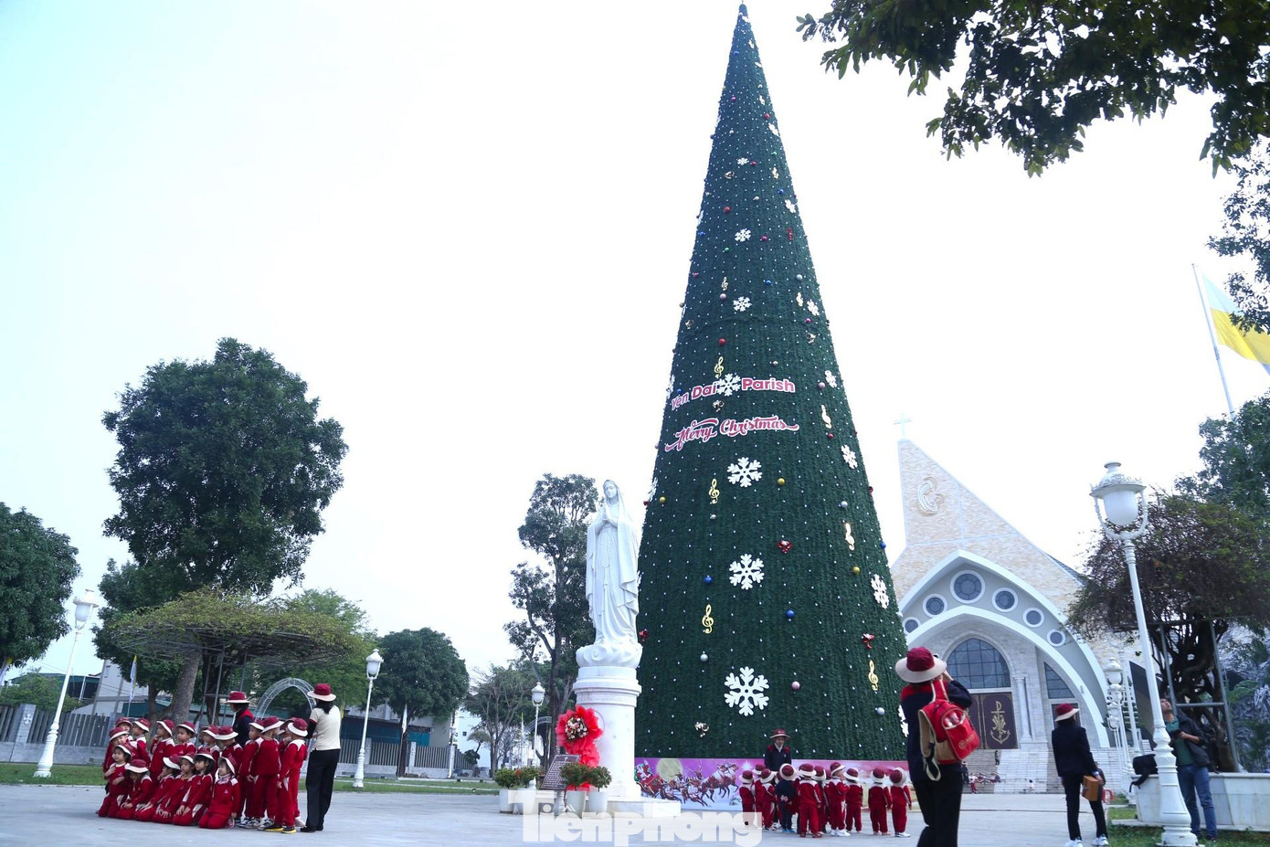 Cây thông này có chiều cao 36m, cao hơn tòa nhà 10 tầng, chỗ lớn nhất rộng 10m. Đây được xem là cây thông Noel lớn nhất tại Nghệ An mùa Giáng sinh năm nay. Cây thông này có chiều cao 36m, cao hơn tòa nhà 10 tầng, chỗ lớn nhất rộng 10m. Đây được xem là cây thông Noel lớn nhất tại Nghệ An mùa Giáng sinh năm nay.