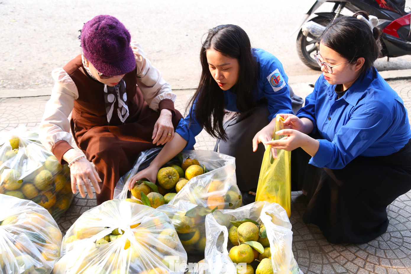 Ngoài các đơn hàng đặt mua online, nhiều người dân cũng đến mua trực tiếp tại chợ với giá bán là 12.000 đồng/kg.