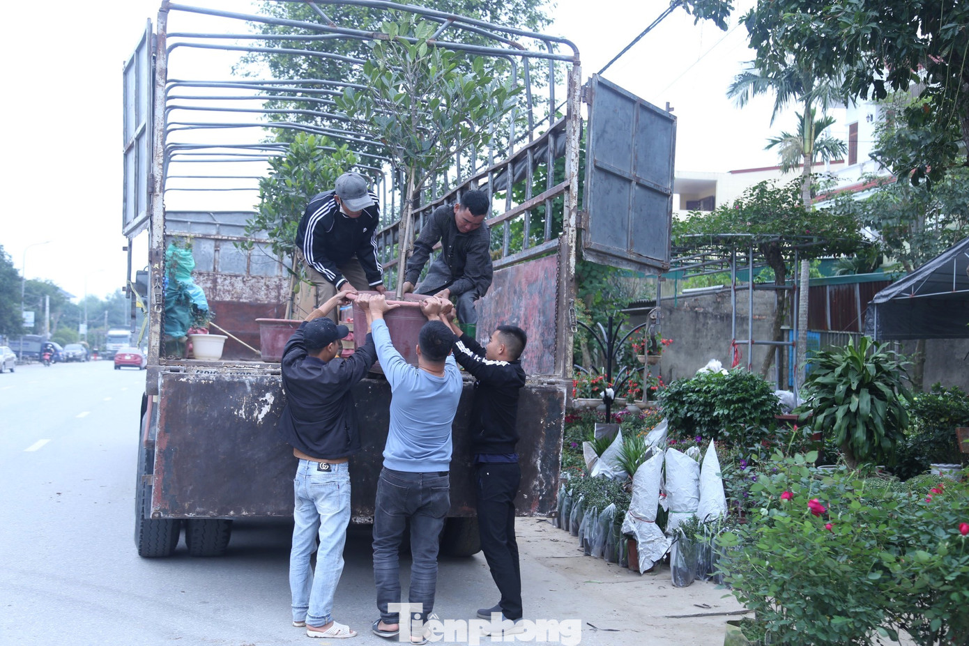 Việc bê chậu cảnh từ xe ô tô xuống khá vất vả.