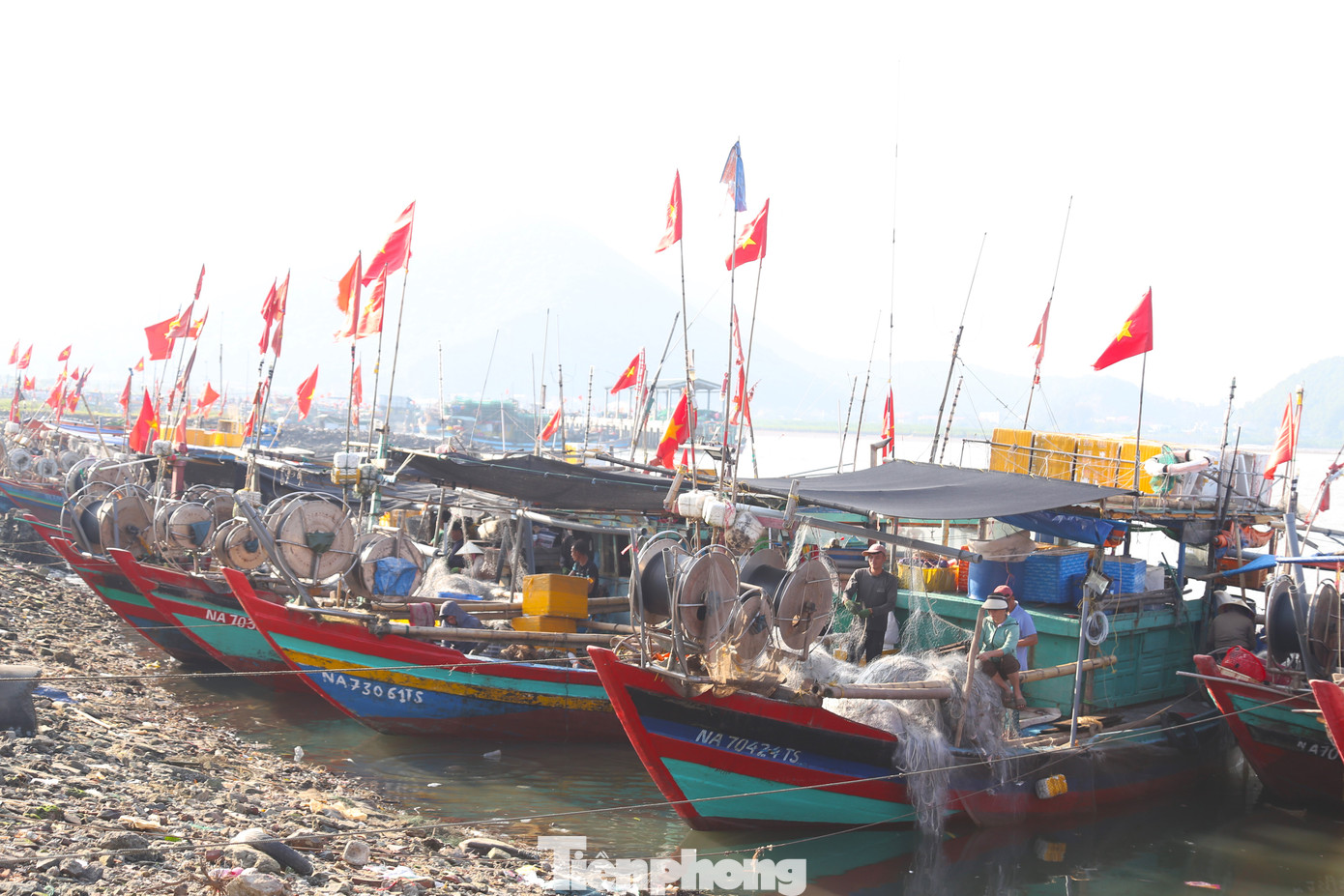 Từ khoảng 12 giờ trưa đến 15 giờ chiều hàng ngày, tại bến Vạn Lộc (phường Nghi Tân, thành phố Vinh, Nghệ An), hàng chục tàu thuyền săn ghẹ cập bến.