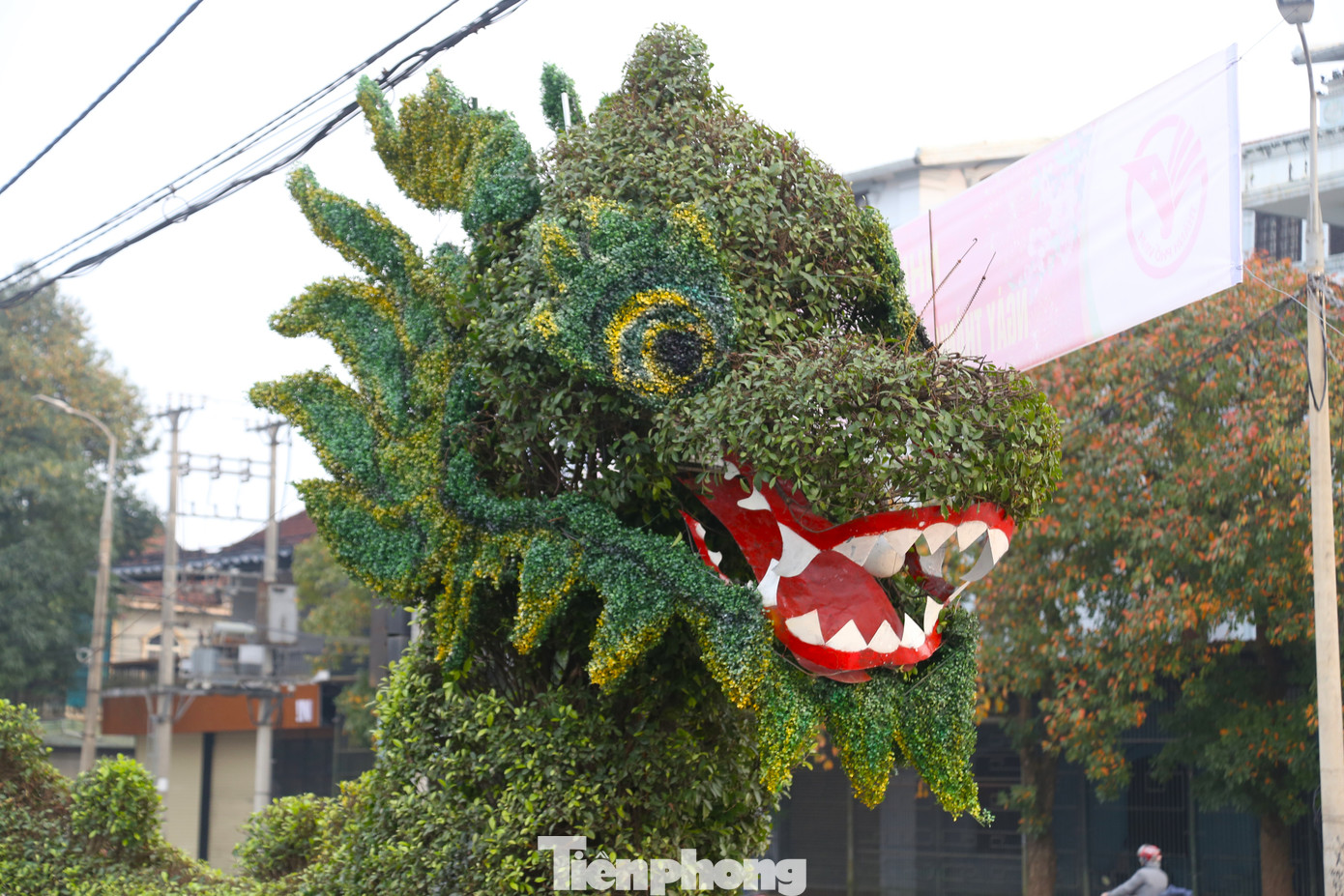 Đầu rồng trước và sau khi được "phẫu thuật thẩm mỹ"