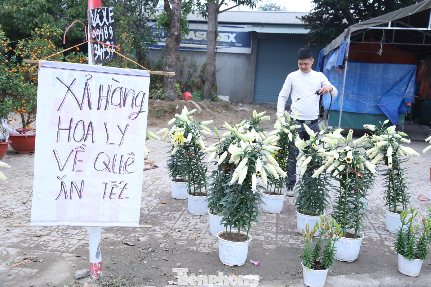 Khu vực đường 72 m, tiểu thương bán hoa ly cũng phải treo biển "xả hàng về quê ăn Tết".