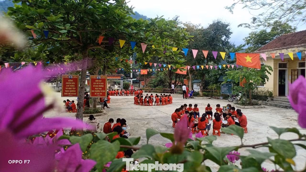 Học sinh trường Tiểu học Hữu Lập ngồi theo nhóm miệt mài đọc sách.
