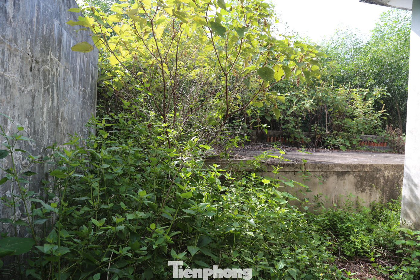 Ghi nhận của PV, hiện công trình này gần như bị lãng quên, cỏ mọc um tùm, các hạng mục xuống cấp nghiêm trọng, chỉ còn 1 tháp nước cao khoảng 5m đặt trên đỉnh núi, 1 bể chứa nước tầm 80m3 và nhà bảo vệ.