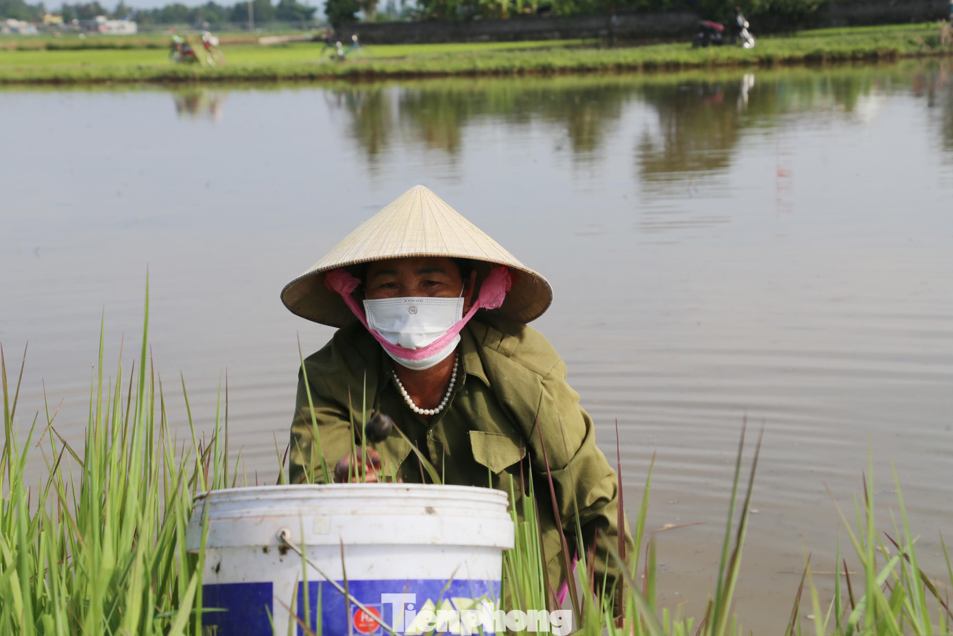 Bà Hiền chia sẻ, công việc suốt ngày phải cúi khom người để nhặt ốc nên rất dễ bị đau lưng