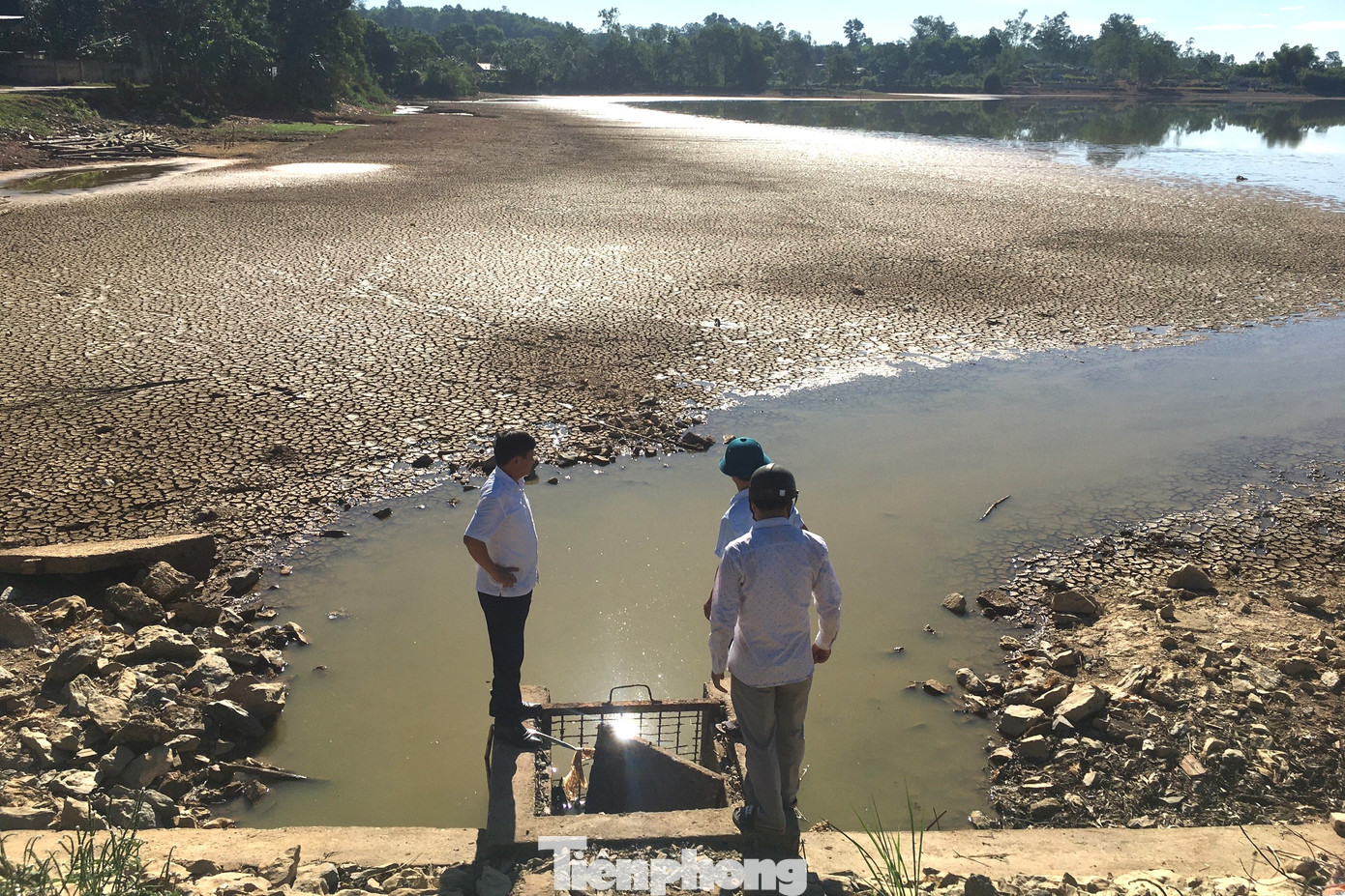 Thời gian qua, nắng nóng kéo dài khiến nhiều hồ, đập ở các huyện Nghi Lộc, Yên Thành, Đô Lương,… khô cạn.