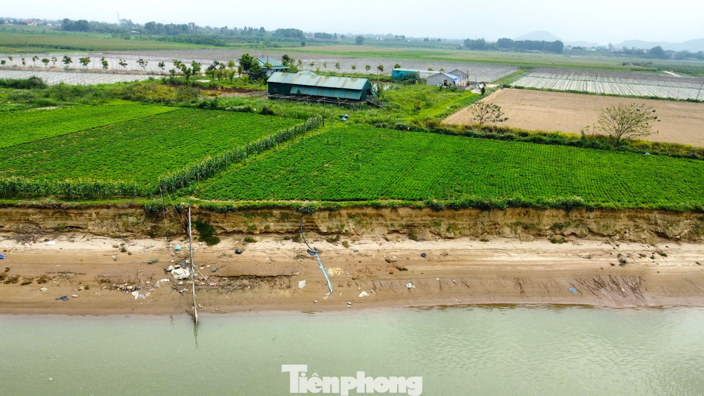 Ông Hồ Văn Chiến - Phó Chủ tịch UBND xã Long Xá cho biết, do ảnh hưởng của lũ lụt, tình trạng sạt lở bờ sông Lam diễn ra ngày càng phức tạp. Hàng chục héc ta đất sản xuất của người dân đã bị cuốn trôi.