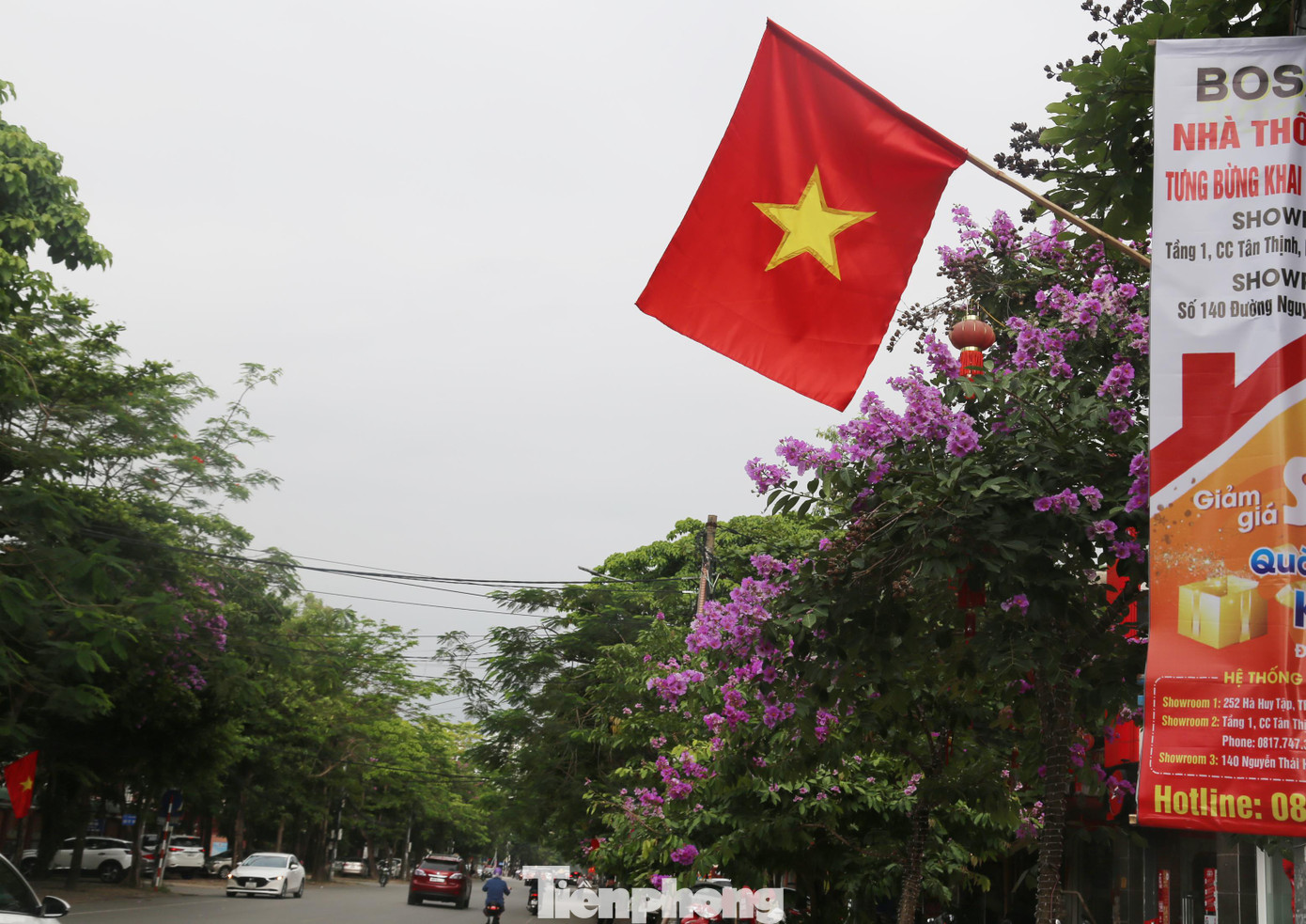 Lá cờ đỏ sao vàng nổi bật trên nền sắc tím bằng lăng