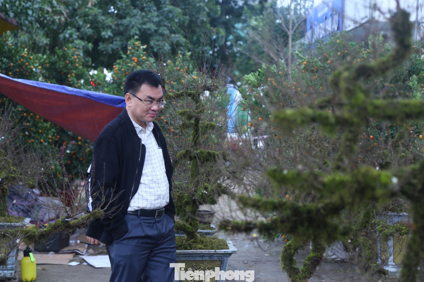 Theo anh Toản, hoa nhất chi mai là giống hoa rất quý, được thị trường phía Bắc rất ưa chuộng và lần đầu xuất hiện tại thị trường hoa Tết ở Nghệ An, thu hút rất nhiều người đến chiêm ngưỡng