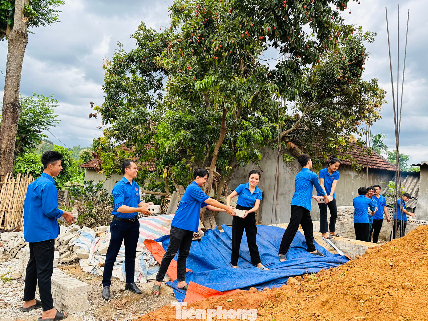 Đoàn viên thanh niên hỗ trợ vận chuyển gạch đến khu vực thợ xây Đoàn viên thanh niên hỗ trợ vận chuyển gạch đến khu vực thợ xây