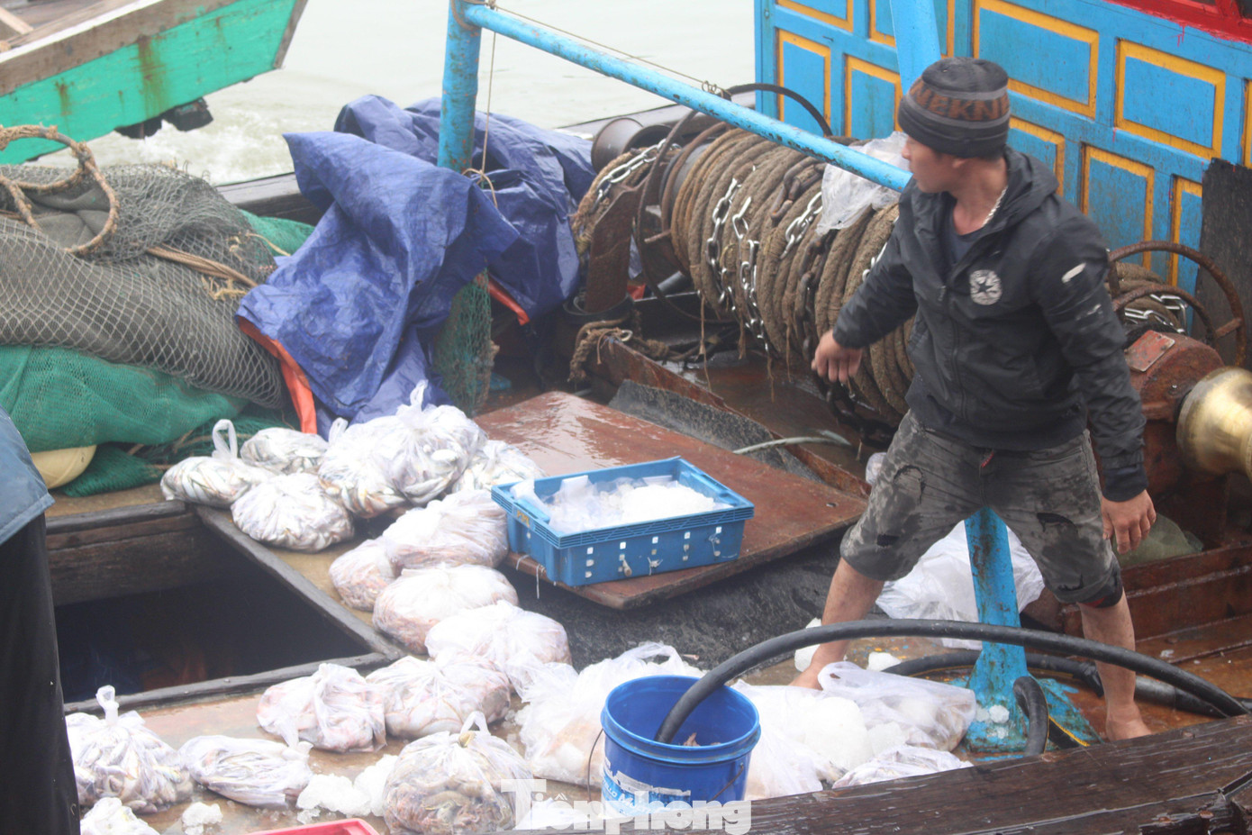 Trong chuyến biển đầu năm này, nhiều tàu thuyền của ngư dân đã mang về đất liền đa dạng các loại hải sản, trị giá hàng chục triệu đồng.