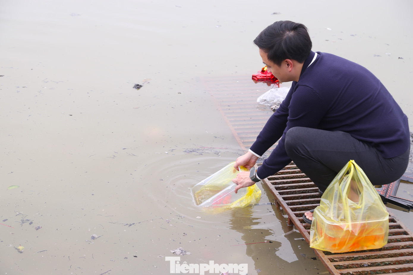 Những chú cá vàng được người dân thả xuống sông Lam vào buổi sáng hôm nay (2/2) tức ngày 23 tháng Chạp.