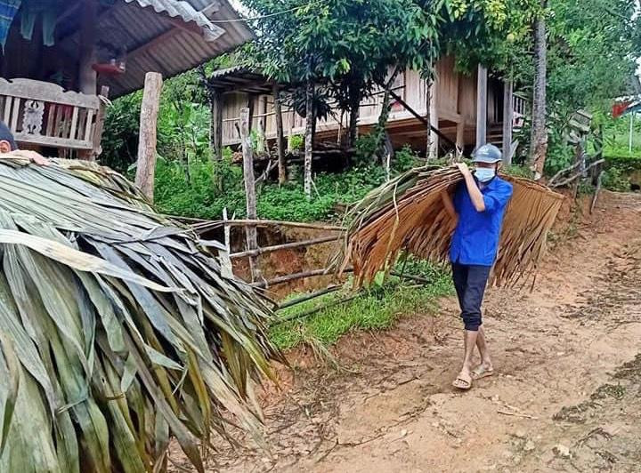 Vận chuyển lá làm nhà cách ly tập trung cho người dân