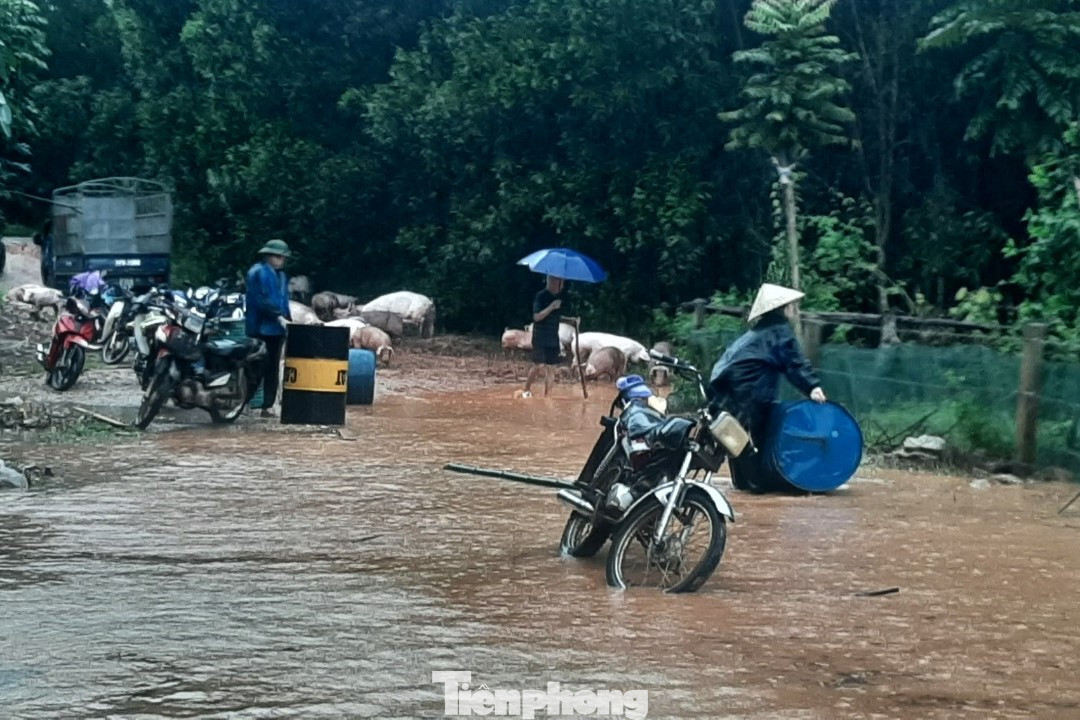 Tại xã Yên Hợp, huyện Quỳ Hợp, từ 1h sáng 27/9, mưa to kèm thủy điện xả lũ khiến trang trại của gia đình chị Đinh Thị Thỏa (xóm Trọng Cánh) bị ngập. Hàng trăm con lợn, dê, gà của trang trại được lực lượng chức năng và người dân giúp đỡ sơ tán. Tại xã Yên Hợp, huyện Quỳ Hợp, từ 1h sáng 27/9, mưa to kèm thủy điện xả lũ khiến trang trại của gia đình chị Đinh Thị Thỏa (xóm Trọng Cánh) bị ngập. Hàng trăm con lợn, dê, gà của trang trại được lực lượng chức năng và người dân giúp đỡ sơ tán.