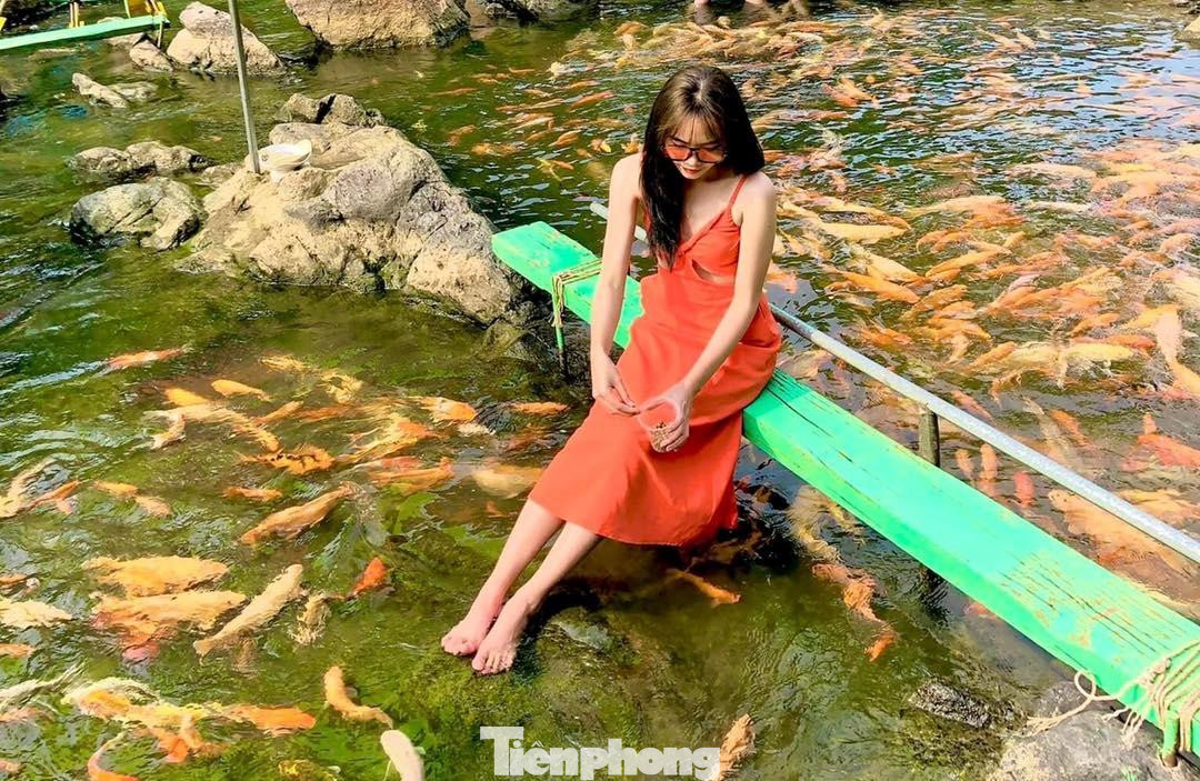 Bạn Nguyễn Thị Vân Trang (22 tuổi, trú TP Vinh, Nghệ An) cho hay: “Mình cùng bạn vượt quãng đường hơn 80km để đến chiêm ngưỡng suối cá vàng này. Không gian nơi đây rất trong lành và thoải mái. Hàng nghìn con cá đủ màu sắc lấp lánh dưới dòng nước trong xanh, thực sự rất ấn tượng”.