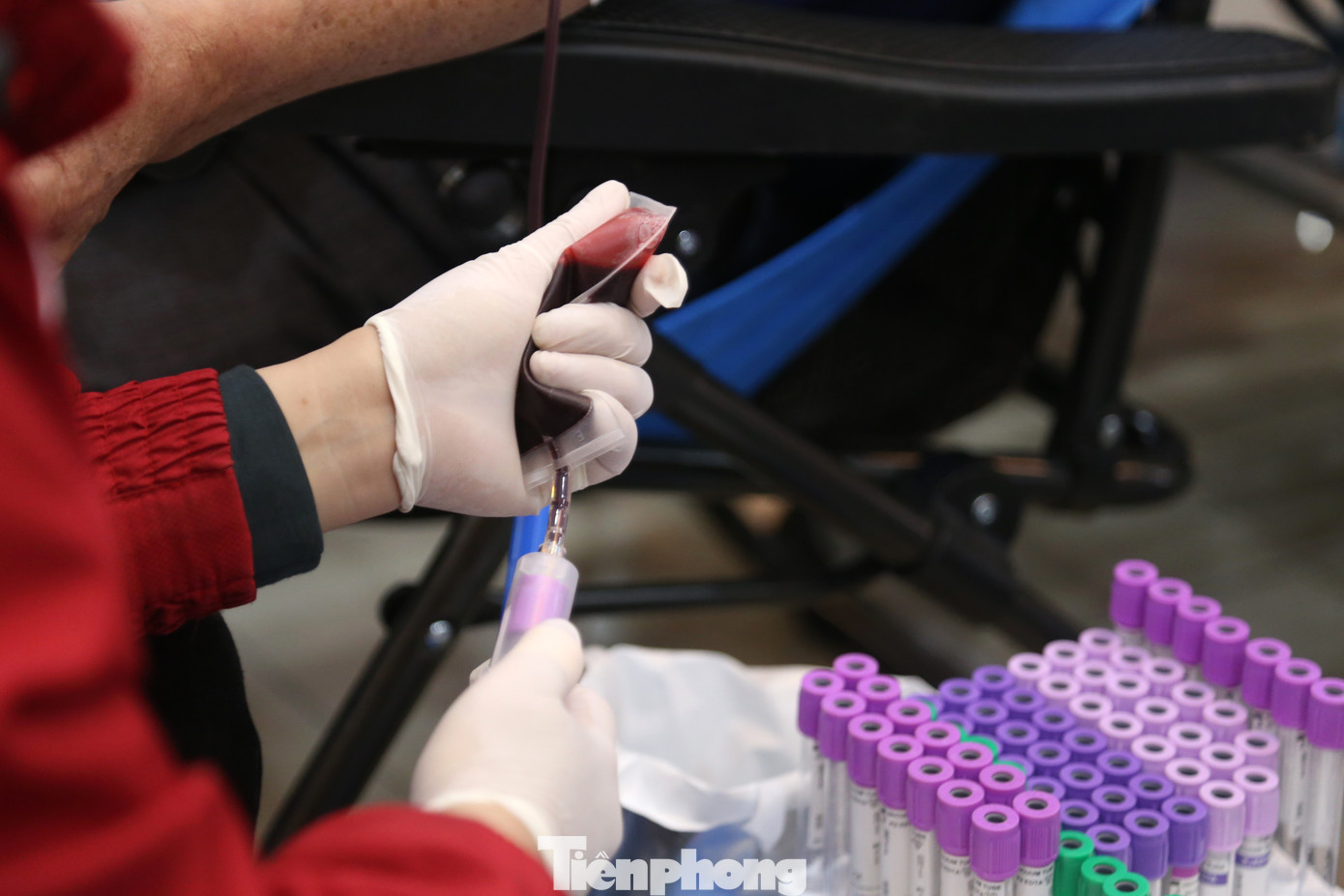 Ngày hội Chủ Nhật Đỏ tại Nghệ An dự kiến tiếp nhận 1.200 đơn vị máu để phục vụ công tác cấp cứu và điều trị dịp Tết Nguyên đán Giáp Thìn 2024.