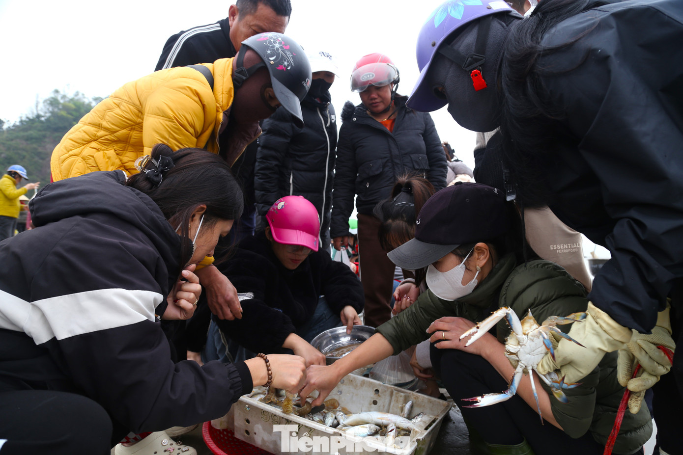 Tôm, cá, mực... sau khi đánh bắt nhanh chóng được ngư dân bán ngay tại bãi biển.