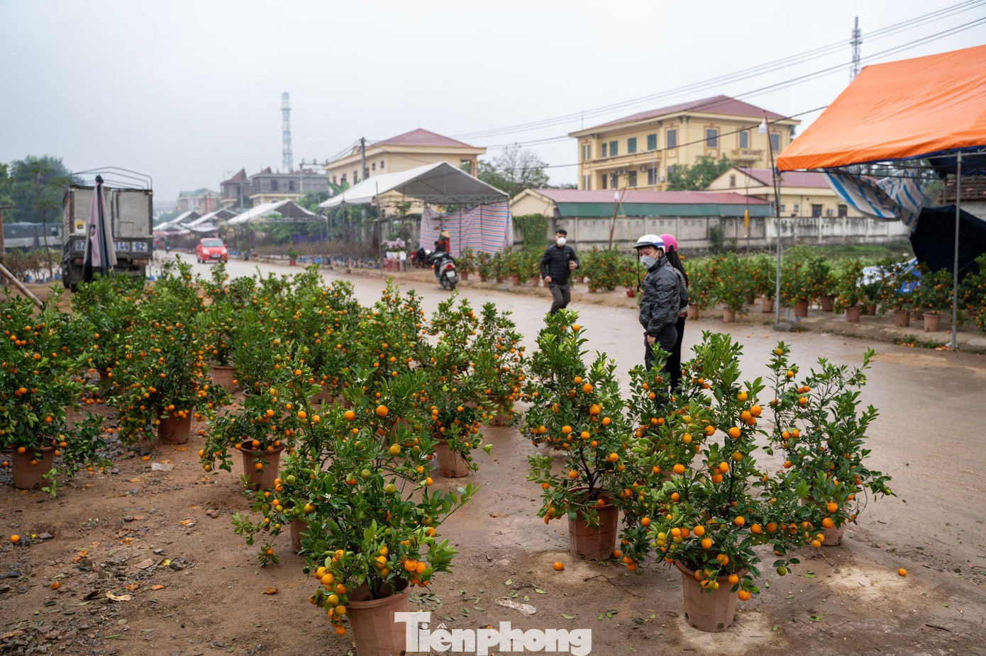 Nhiều hộ kinh doanh đã phải huy động người nhà ra bán đào nhưng sức bán vẫn rất chậm
