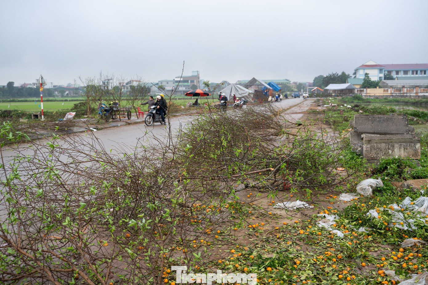 Một số tiểu thương “bỏ của chạy lấy người”, vứt lại những cành đào mà chỉ vài ngày trước có giá tiền triệu.