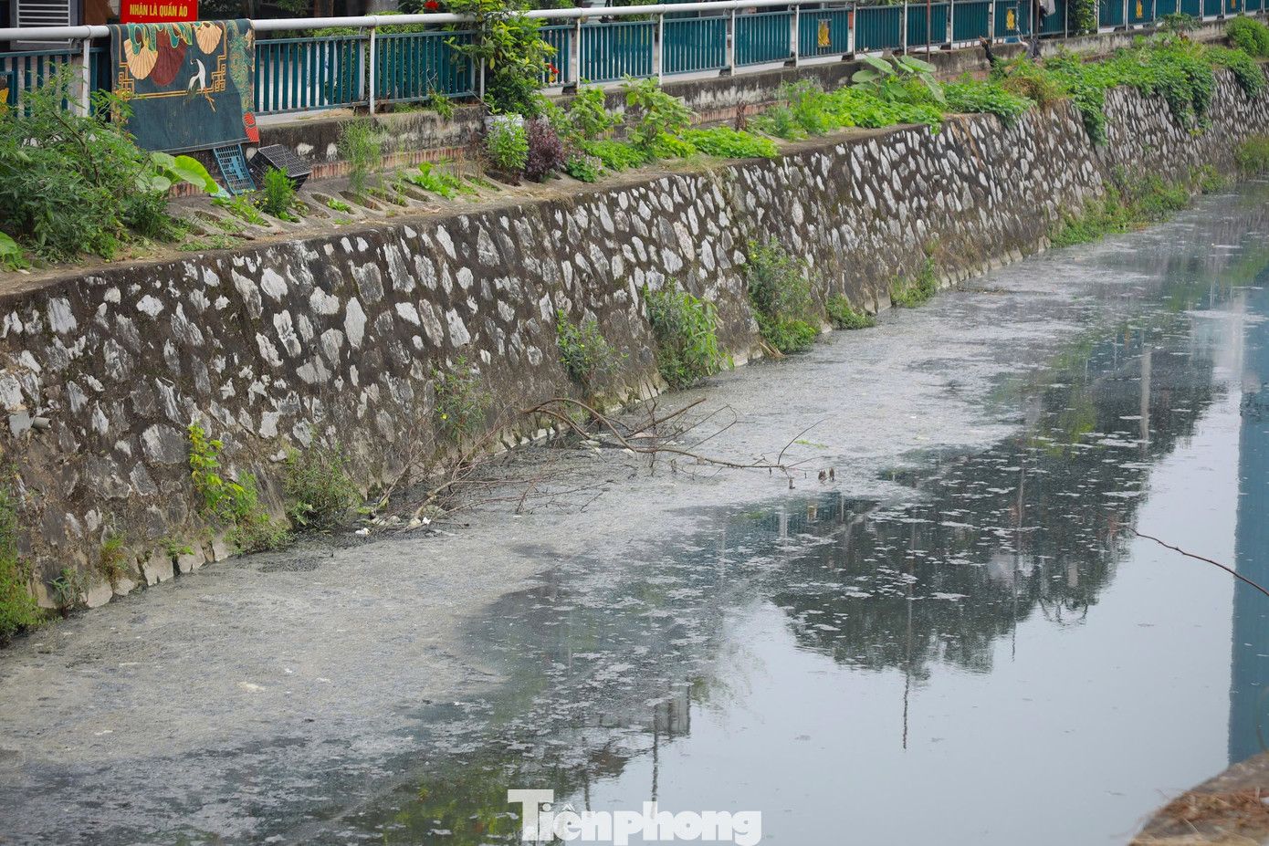 Năm 2016, dự án cải tạo Hào thành cổ Vinh với kinh phí gần 140 tỷ đồng từ nguồn vốn vay của Ngân hàng Thế giới, do UBND TP Vinh làm chủ đầu tư được thực hiện để nạo vét, xây bờ kè dọc hai bờ hào, hệ thống thu gom nước thải, tạo cảnh quan quanh hào thành... Năm 2018, dự án hoàn thành đưa vào vận hành với kỳ vọng sẽ cải thiện môi trường, tạo diện mạo mới cho di tích Hào thành cổ Vinh. Thế nhưng, từ đó đến nay, tình trạng ô nhiễm không những không được cải thiện mà còn trở nên trầm trọng hơn.