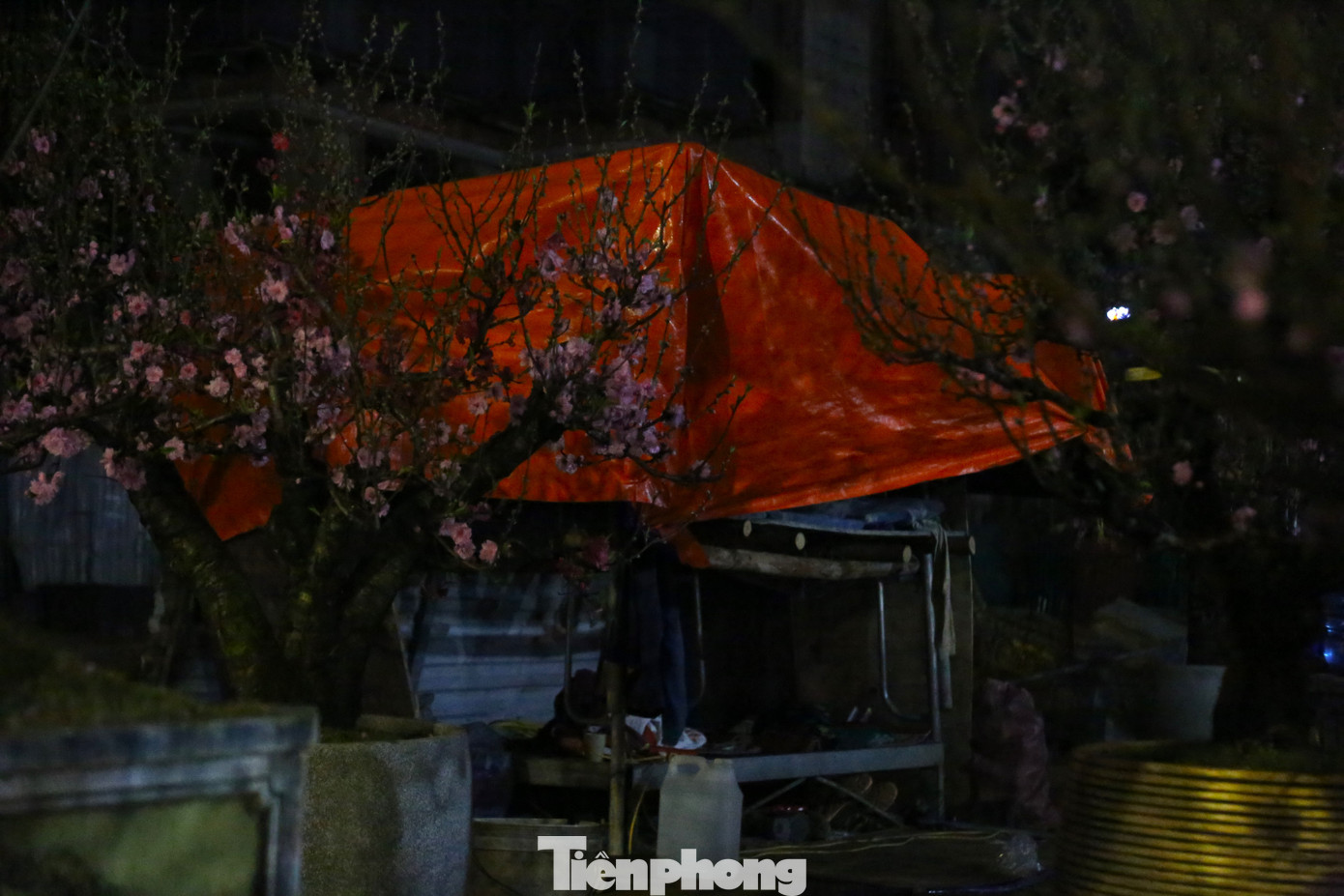 Những chiếc lều dựng tạm từ các thanh gỗ, tre và phủ bạt làm mái.