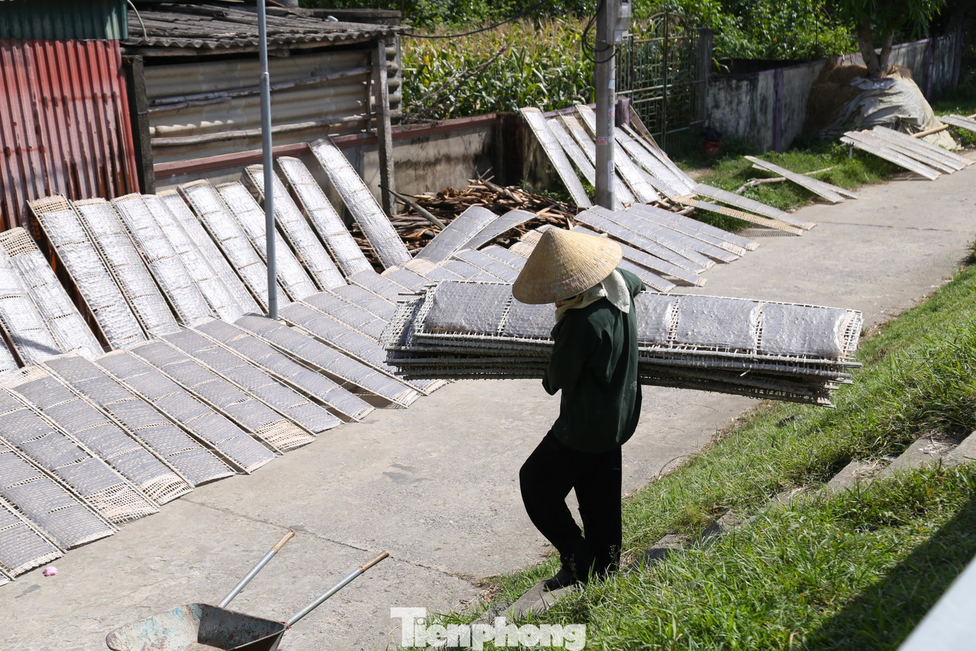 Bánh sau khi phơi đủ nắng sẽ được gom lại và đưa về nhà, đóng thành từng tệp để bán. Hàng làm đến đâu tiêu thụ hết đến đó.