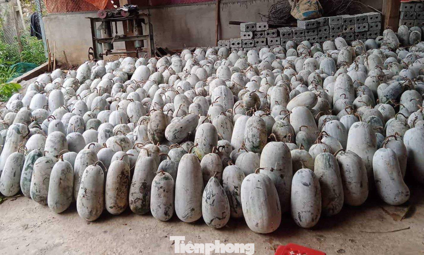 Trước việc hàng trăm tấn bí xanh đang tồn đọng, lãnh đạo Phòng GD&amp;ĐT huyện Kỳ Sơn (Nghệ An), cho biết đã kêu gọi các trường học mầm non, phổ thông trên địa bàn hỗ trợ tiêu thụ bí xanh cho người dân. Hội Liên hiệp phụ nữ huyện Kỳ Sơn cũng kêu gọi người dân hỗ trợ tiêu thụ bí xanh.