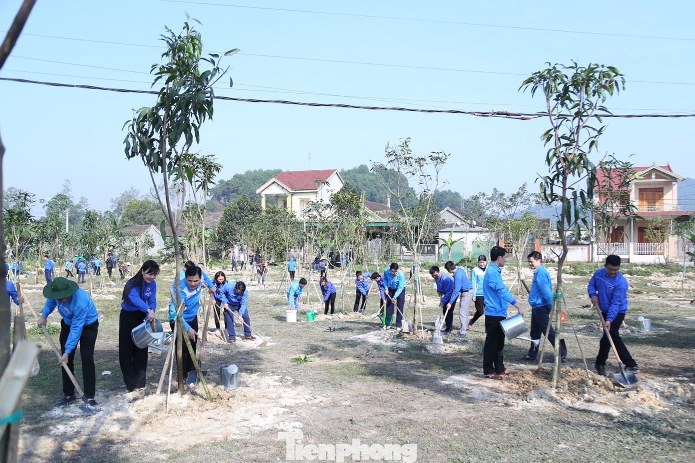 Dịp này, tuổi trẻ Nghệ An đã trồng mới một vườn cây thanh niên gồm 350 cây xoài, 5.000 cây keo.