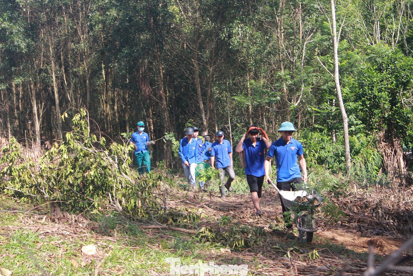 Do khu vực trồng cách xa, đồi núi nên đoàn viên thanh niên phải gùi, đẩy xe rùa để di chuyển cây dược liệu vào trong khu vực trồng.