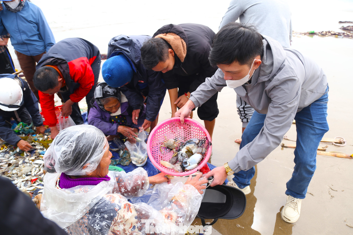 Số hải sản tươi ngon của mẻ lưới rùng được du khách đón mua ngay khi mới vào bờ.