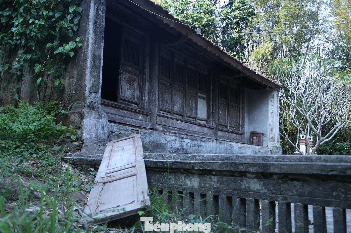 Mặc dù cảnh quan và tổng thể kiến trúc của di tích xưa đã có sự thay đổi, mất mát hư hỏng nhưng quần thể đền Rậm vẫn chứa đựng những giá trị lịch sử văn hoá - kiến trúc nghệ thuật lớn lao.