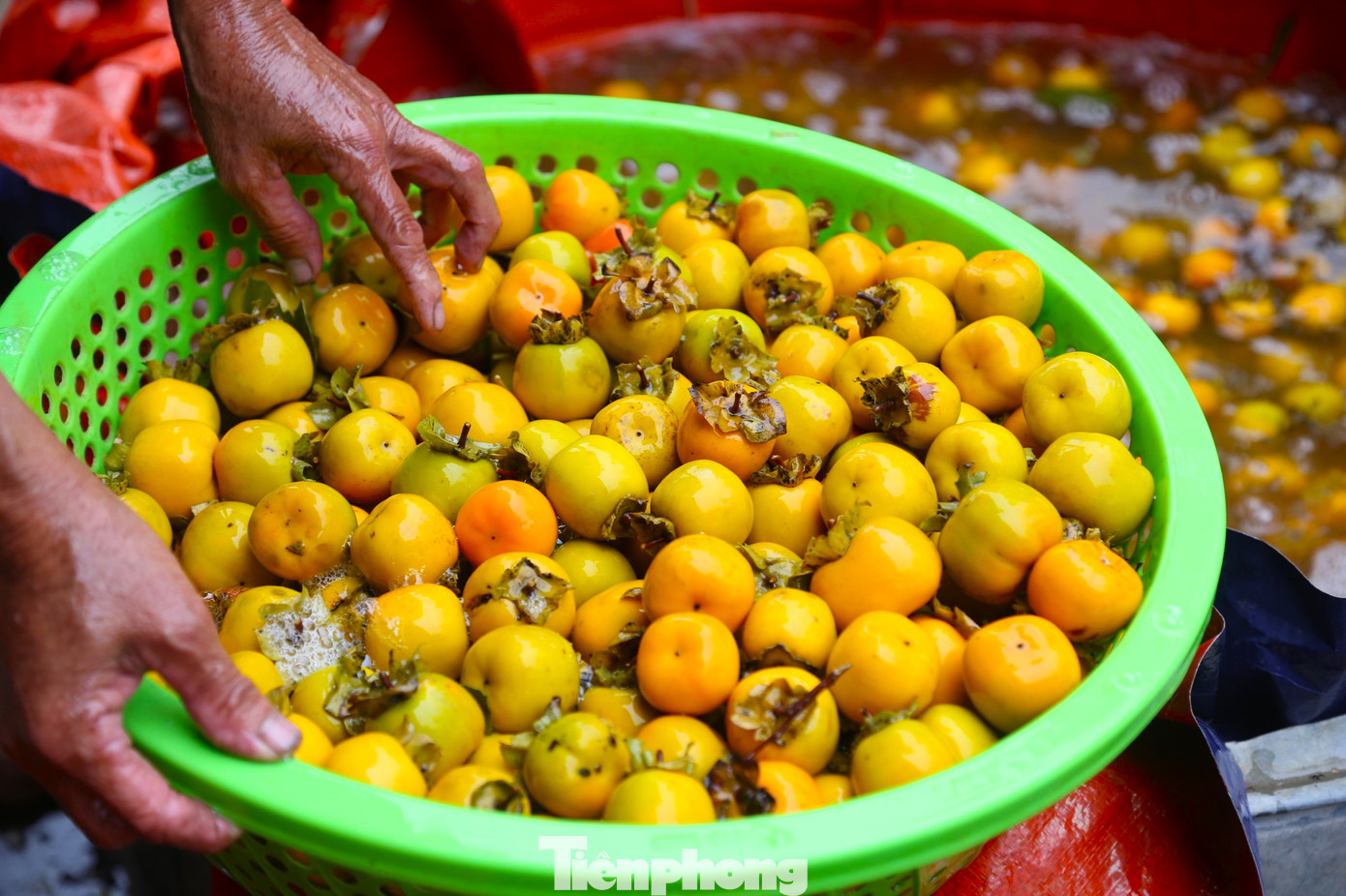 Để hồng được ngọt hơn, người dân ở Nam Anh thường ủ hoặc ngâm hồng bằng nước giếng khoan trong 5 ngày. Để hồng được ngọt hơn, người dân ở Nam Anh thường ủ hoặc ngâm hồng bằng nước giếng khoan trong 5 ngày.