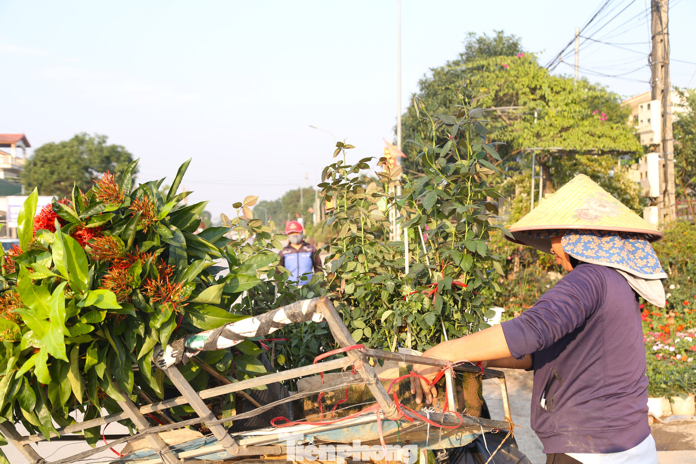 Những lao động miệt mài mưu sinh, ai cũng mong có một cái Tết đủ đầy hơn.