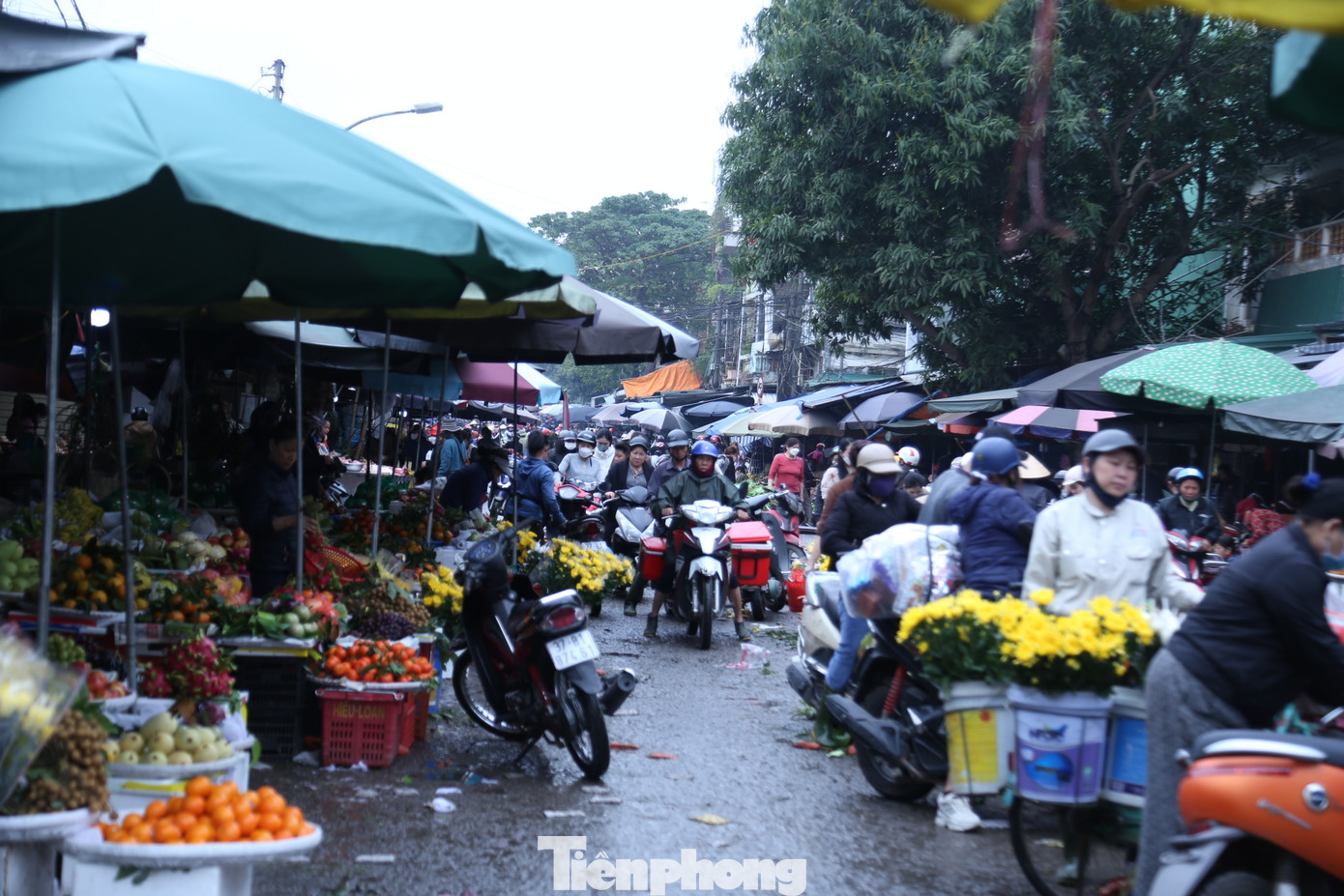 Khảo sát tại các chợ trên địa bàn thành phố Vinh, (Nghệ An), thị trường đồ cúng cho ngày rằm tháng Giêng khá phong phú và đa dạng. Người mua cũng nhộn nhịp hơn hẳn ngày thường. Các loại hoa quả, thực phẩm dành cho ngày rằm tháng Giêng tăng giá khoảng 10-15% so với những ngày trước đó.