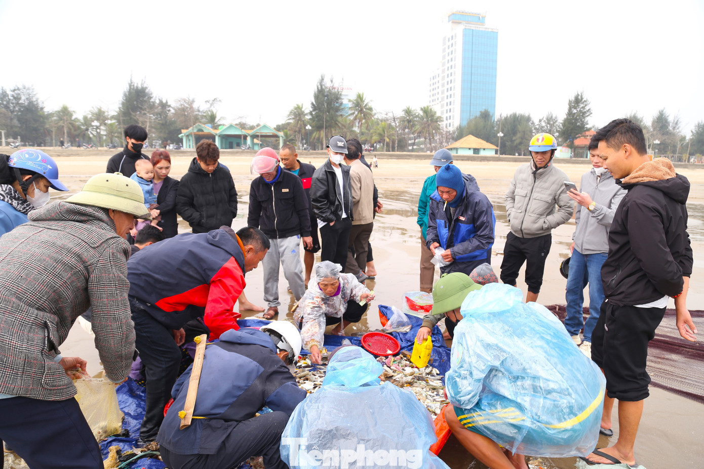 Số hải sản tươi ngon của mẻ lưới rùng được du khách đón mua ngay khi mới vào bờ.