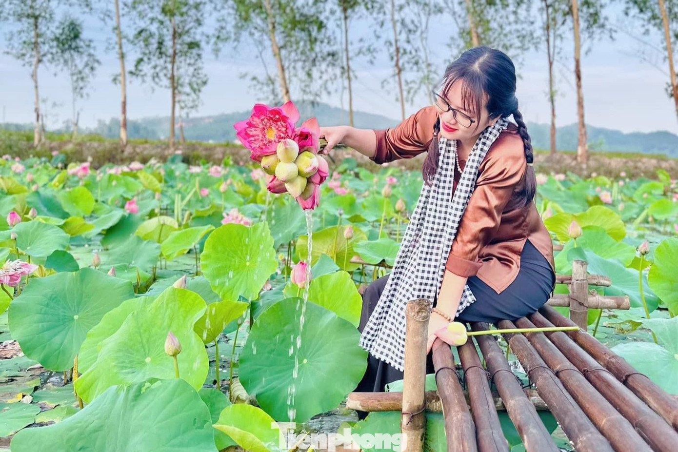 Bạn trẻ chụp ảnh tại đầm sen của Nguyễn Văn Hòe Bạn trẻ chụp ảnh tại đầm sen của Nguyễn Văn Hòe