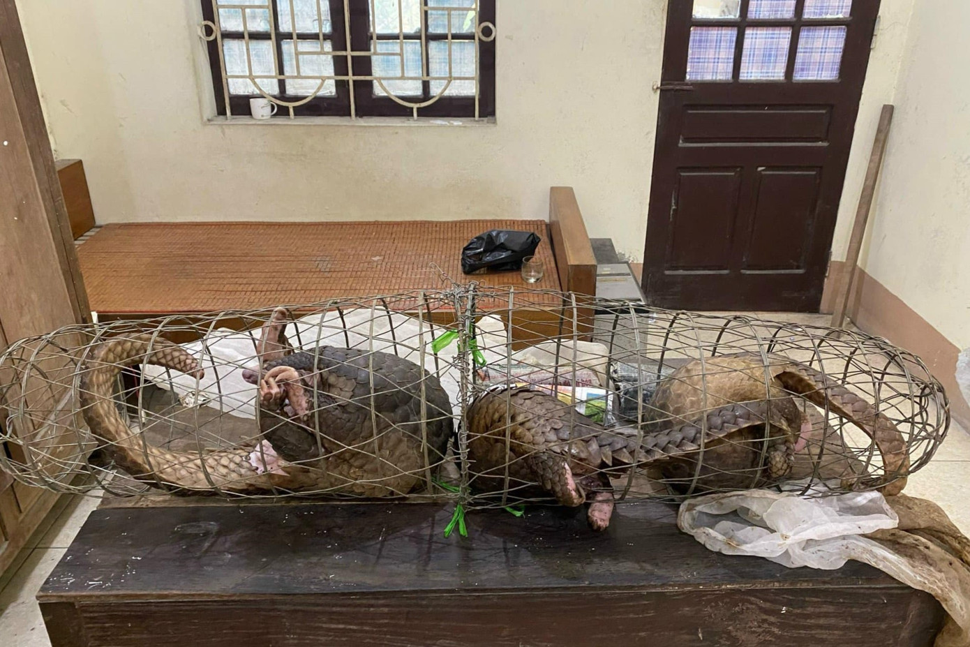 Tang vật vụ án Tang vật vụ án