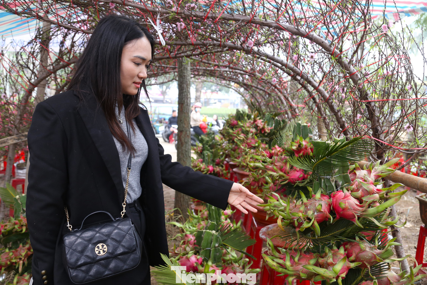 Mỗi chậu thanh long có giá không quá 2 triệu đồng. Đây không phải là mức giá quá cao so với nhiều loại cây cảnh khác nên đã thu hút khá nhiều khách tới xem và mua.