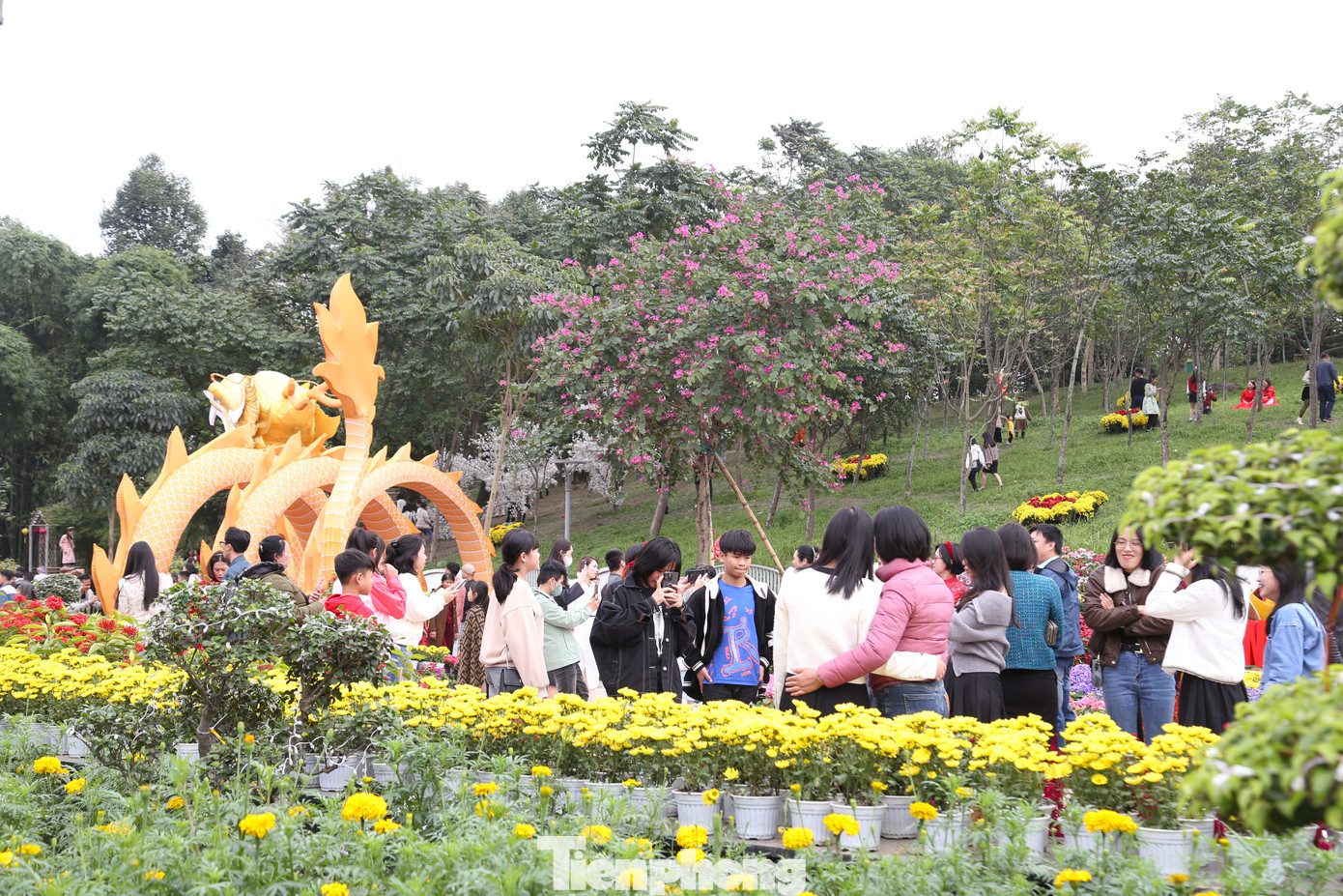 Con đường hoa thu hút rất đông người dân đến chụp ảnh, lưu giữ những khoảnh khắc đẹp trong ngày đầu xuân năm mới.